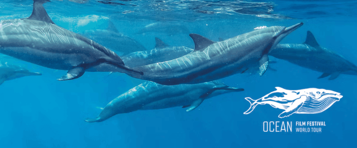 Ocean Film Festival World Tour