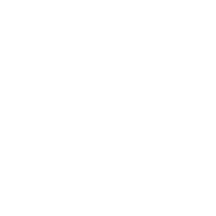 Thinking Without Borders Logo
